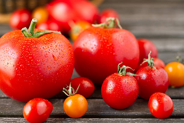 Fresh Tomatoes stock photo