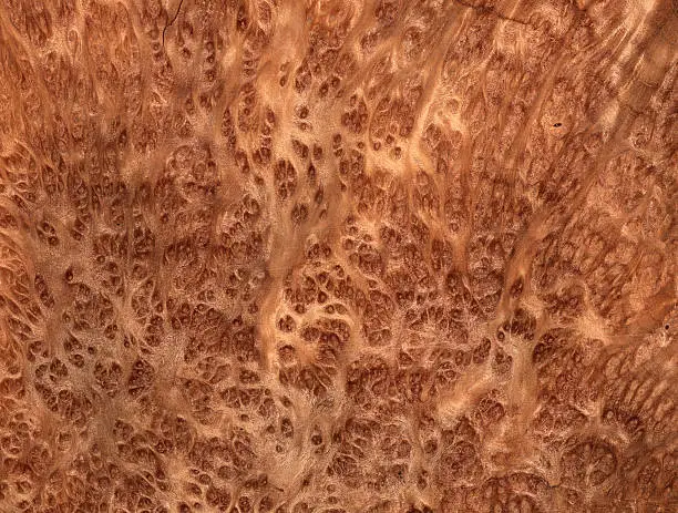 Photo of Giant Sequoia wood background