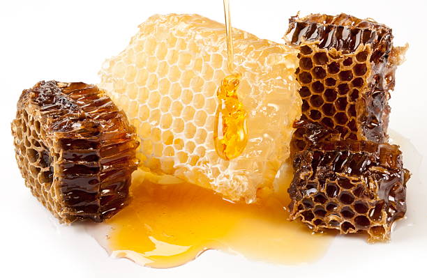 istock Close up view of honeycombs. 153830857