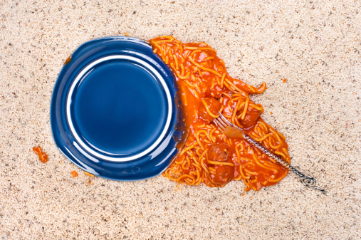 A dropped plate of spagetti on new carpeting.