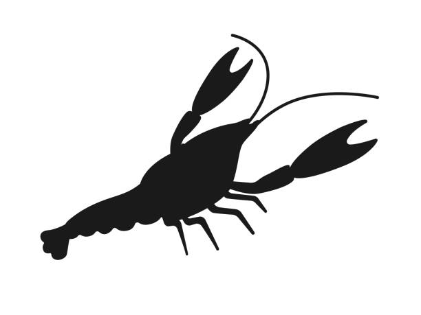 ilustrações, clipart, desenhos animados e ícones de ilustração da silhueta de um lagostim americano alienígena. - crayfish