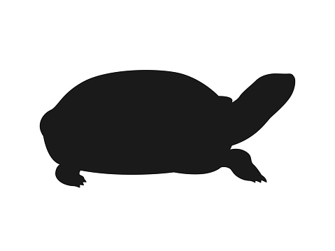 Turtle silhouette illustration facing sideways.