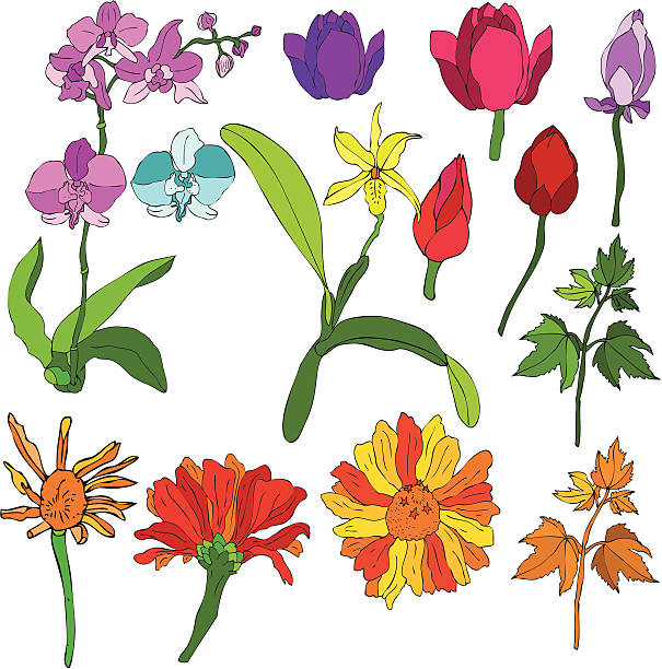 mix flowers vector art illustration