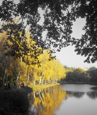 Autumn foliage reflecting on a small pond. High resolution image.