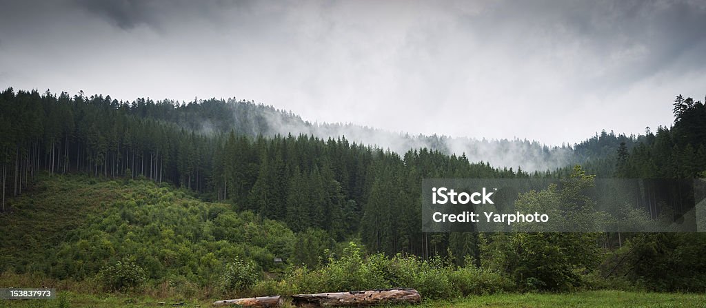 Горы лес, туман - Стоковые фото Атмосфера - Понятия роялти-фри