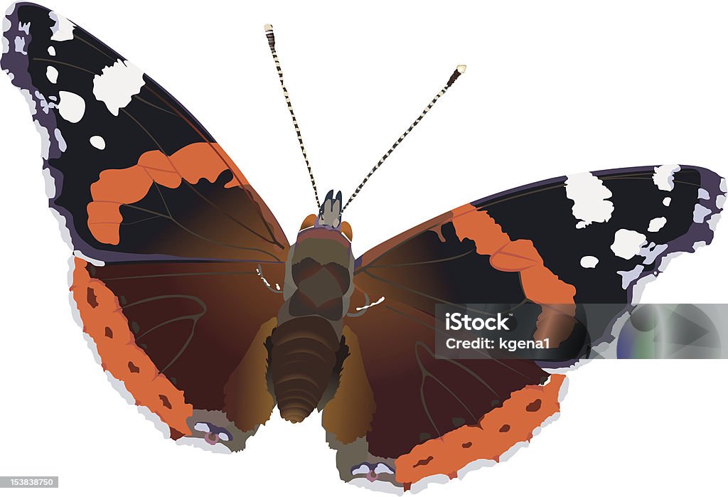 red admiral - Vetor de Antena - Parte do corpo animal royalty-free