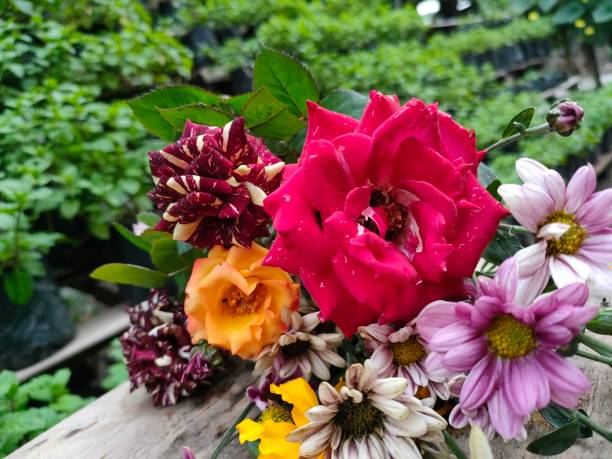 istock bouquet of flowers for a gift 1538417494