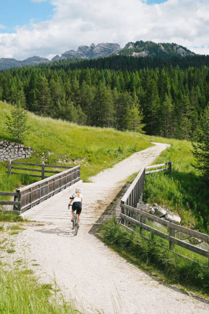 젊은 여자는 숲을 가로질러 길을 자전거를 타고 올라간다 - country road fence road dolomites 뉴스 사진 이미지