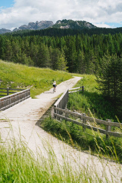 若い女性が森の中を自転車で登る - country road fence road dolomites ストックフォトと画像