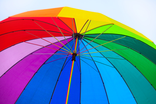 Colorful umbrella in the park. Close up of rainbow umbrella.