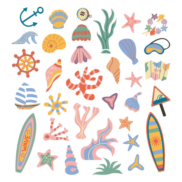 ilustraciones, imágenes clip art, dibujos animados e iconos de stock de conjunto de fauna marina de verano, conchas marinas - remote shell snail isolated