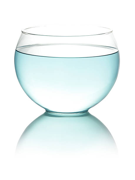 istock Fishbowl with blue toned water 153855442