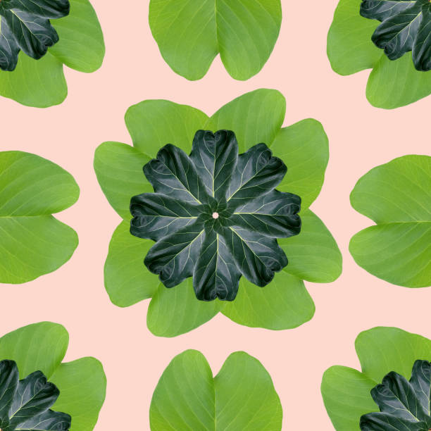 istock tropical exotic plant leaf,seamless background for textile and fabric design 1538556919