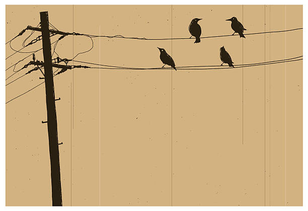 Telegraph pole The retro vector illustration describing the silhouette and bird of the telegraph pole. telephone line illustrations stock illustrations
