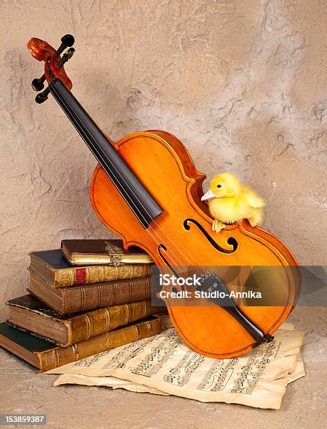 Musik Liebevoll Entenküken Stockfoto und mehr Bilder von Alt - Alt, Altertümlich, Antiquität