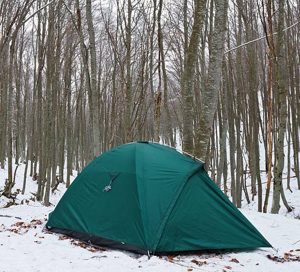 istock green touristic tent in a forest 153859495