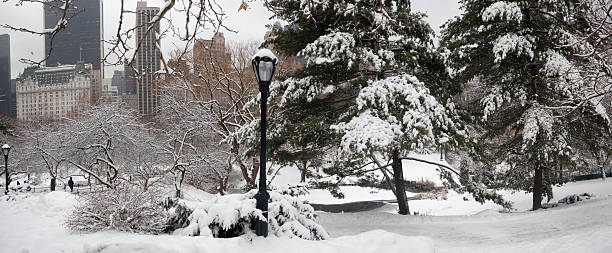 istock View of Central Park South 153860892