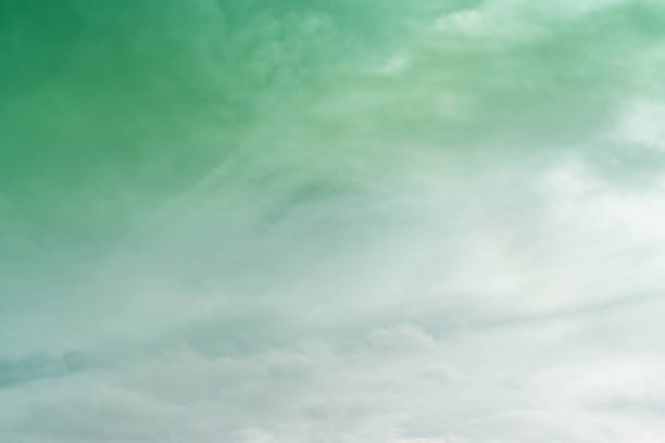 White cloud and green sky background with copy space