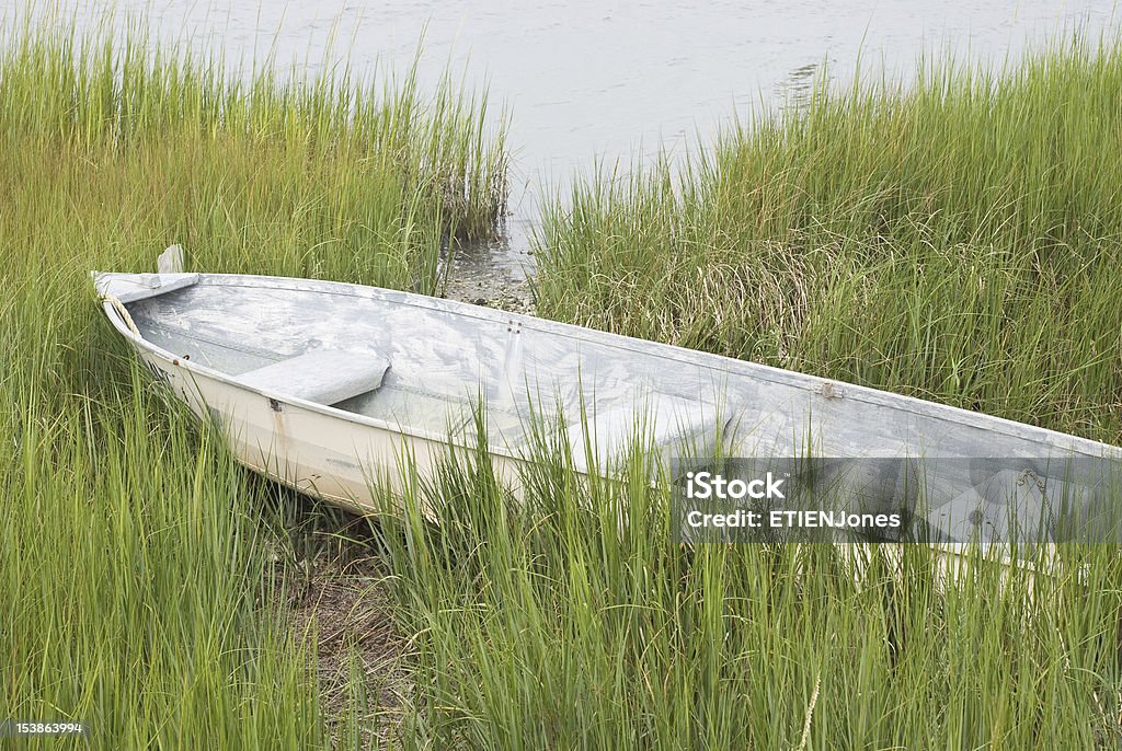 Boat in the Grass Fishing Boat in Tall Grass on the Shore Environment Stock Photo