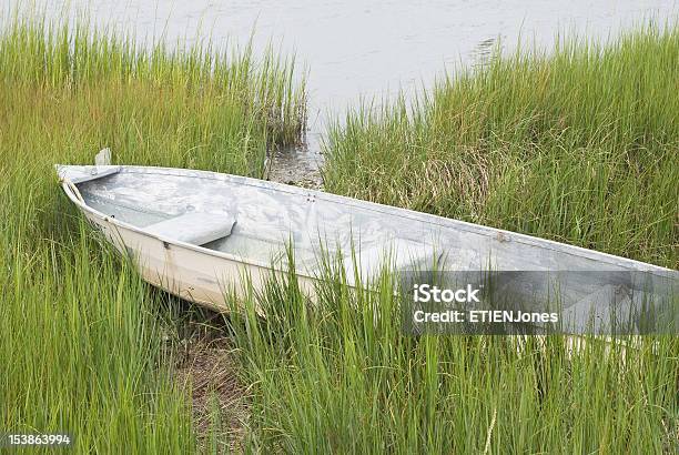 Boat In The Grass Stock Photo - Download Image Now - Environment, Environmental Conservation, Fishing