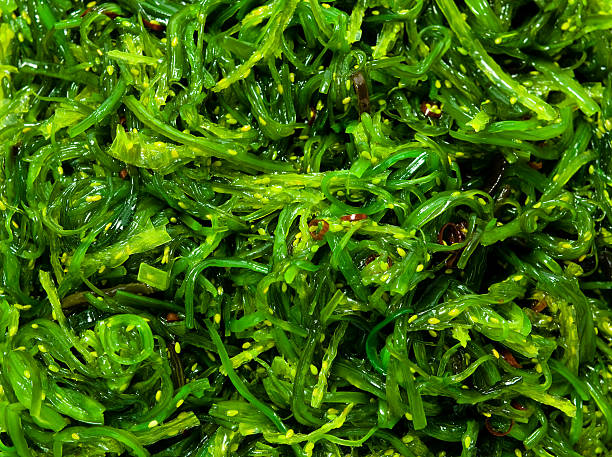 las ensaladas de algas - wakame salad fotografías e imágenes de stock