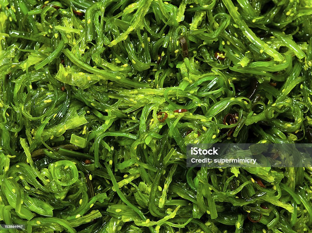 Seaweed Salad Seaweed Salad background Seaweed Stock Photo