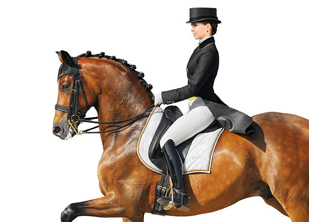 istock Equestrian sport - dressage 153866679
