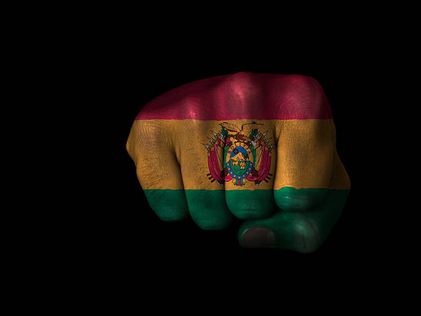Flag of Bolivia painted on closed fist. See other Flags of the World on fist:
