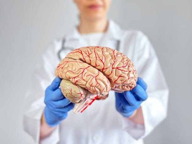 istock Doctor monitoring a human brain 1538685818