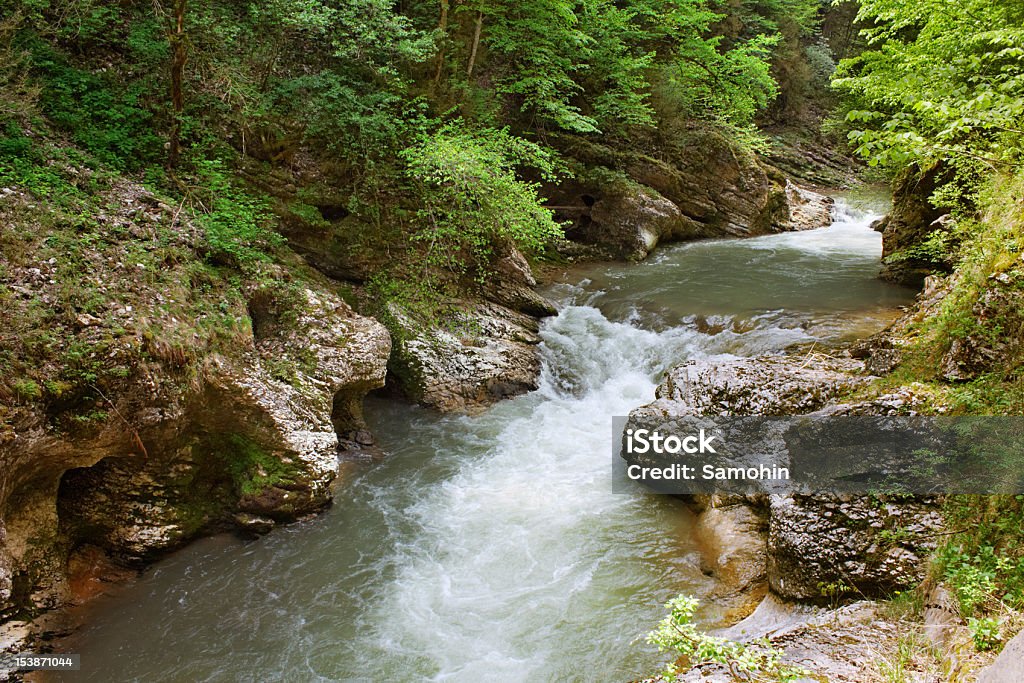 Mountain river Mountain river flowing at summer forest landscape Backgrounds Stock Photo