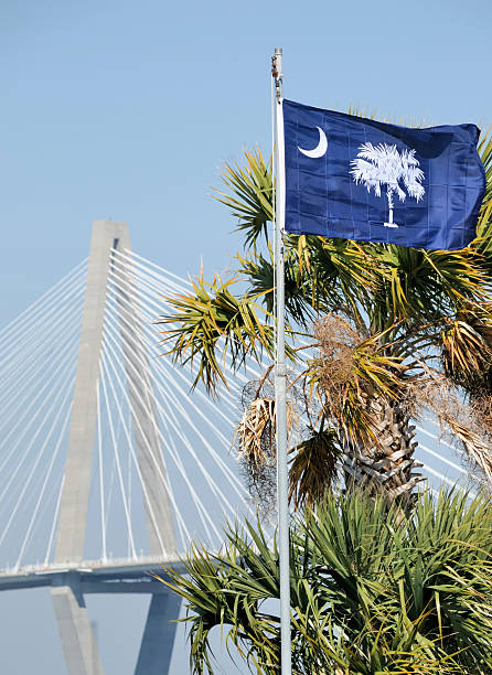 bandiera della carolina del sud - day vertical palmetto south carolina foto e immagini stock