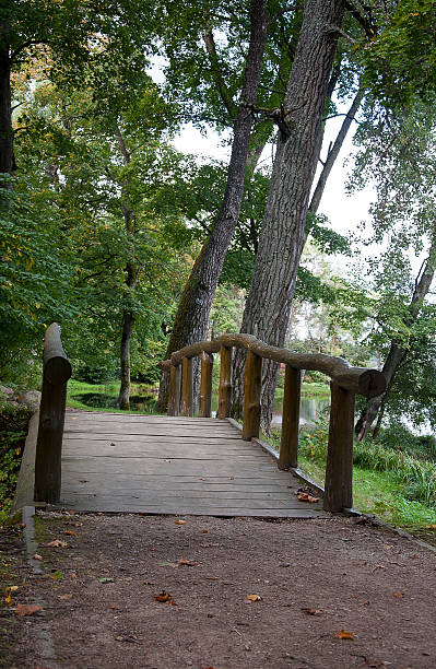 istock wooden bridge in park 153873427