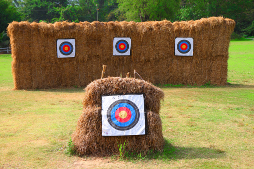 target archery in field