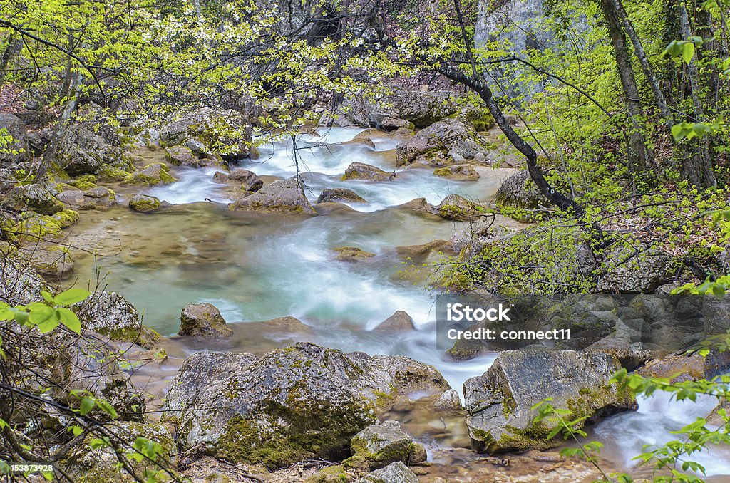 Весна brook - Стоковые фото Без людей роялти-фри