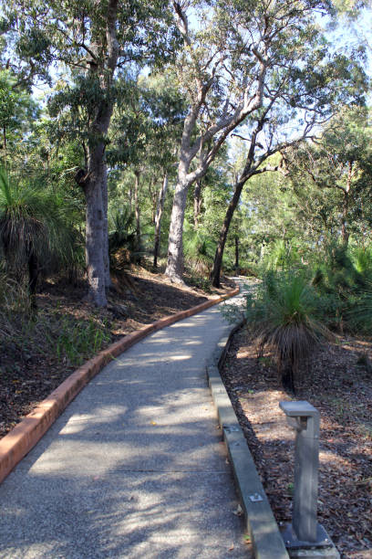 istock Path at Mount Archer National Park in Rockhampton, Queensland, Australia 1538763214