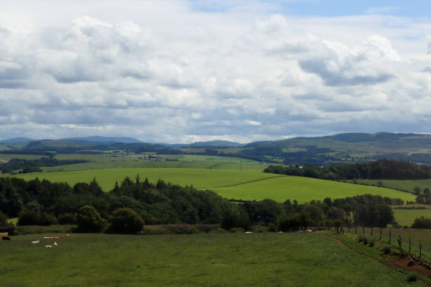 istock Nature in Scotland 1538780777