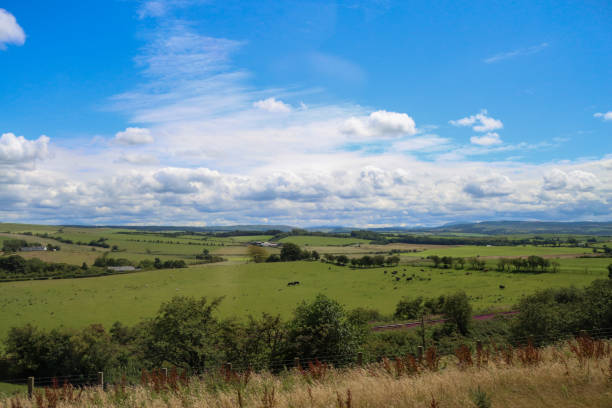 Nature in Scotland