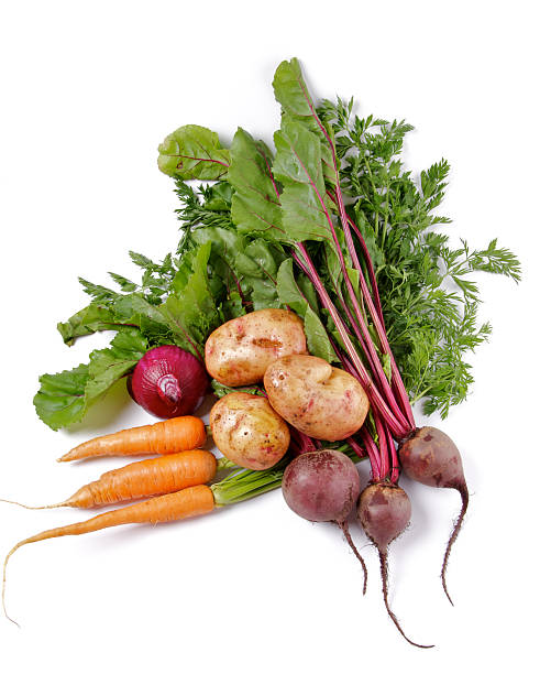 Arrangement of Raw Organic Vegetables Arrangement of Raw Organic Farmer's Potato, Carrot, Red Onion and Beet isolated on white background root vegetable stock pictures, royalty-free photos & images