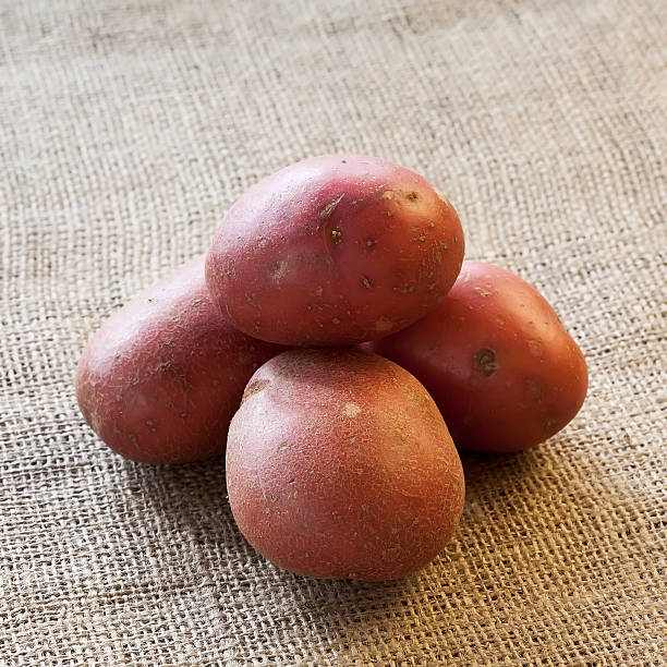 더미 붉은 감자와 sackcloth 대한 - red potato raw potato burlap red 뉴스 사진 이미지