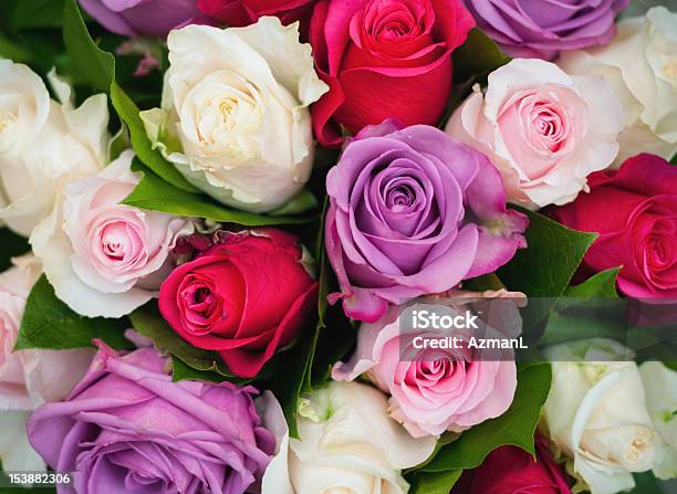 Foto de Rosas e mais fotos de stock de Rosa - Flor - Rosa - Flor, Vermelho, Arranjo de Flores