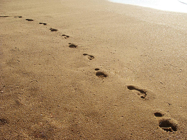 huellas en la arena - sand footprint track following fotografías e imágenes de stock