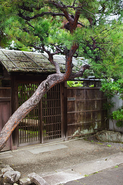 istock Asian house entrance 153884661