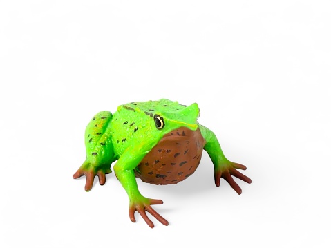 Miniature green-brown frog isolated on white