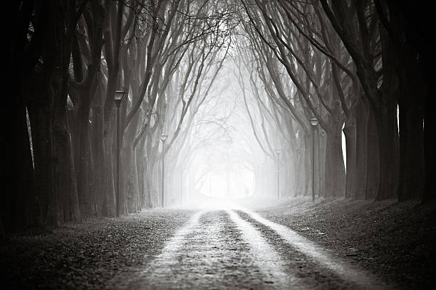 This ancient road is located in Ferrara (Italy) and is a Unesco World Heritage Site.
