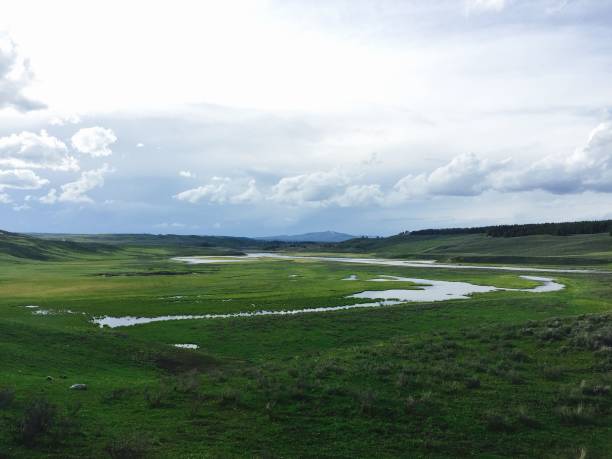istock Tranquil river winds its way through a lush, green meadow, surrounded by fields of vibrant grass 1538876338