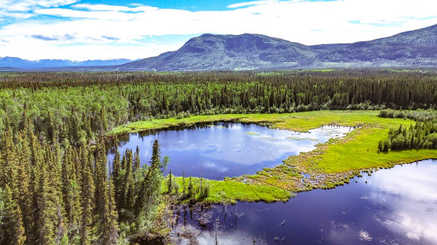 istock Calm Alaska Lake With Reflection 1538876474