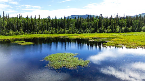 istock Calm Alaska Lake With Reflection 1538876495