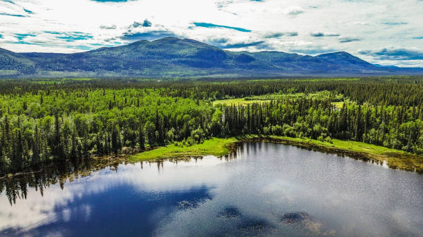 istock Calm Alaska Lake With Reflection 1538876585