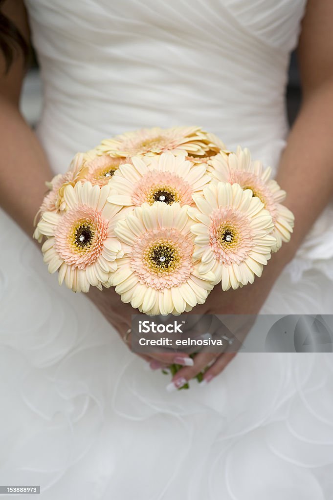 bride holding gerbera bouquet bride holding a bouquet of gerbera flowers in bouquet Adult Stock Photo