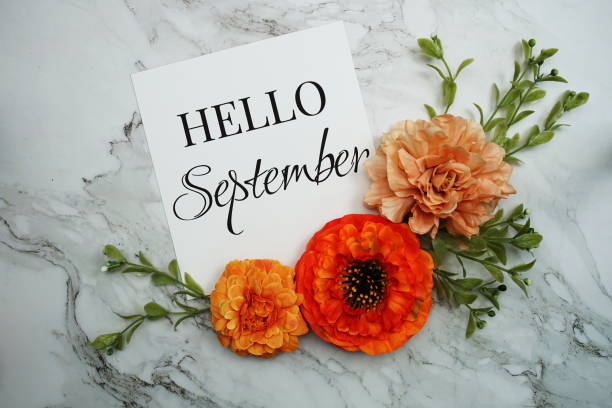 istock Hello September text with orange flower bouquet on marble background 1538891292